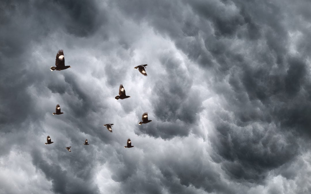 What is HIPAA Breach Notification?