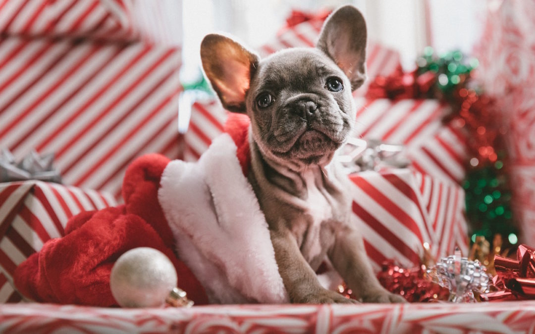 December Ethics CE Bundle (6 Hours!)