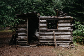 Old shed in the woods